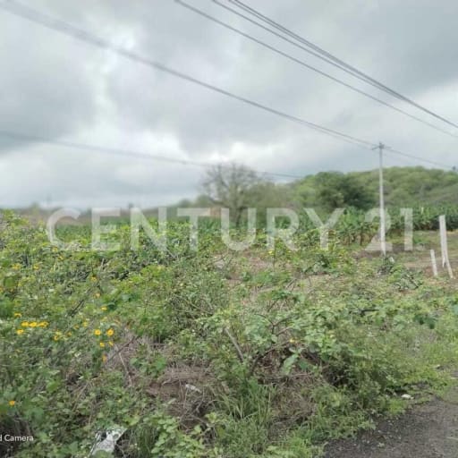 60 hectáreas en Ruta Spondylus - $4.60/m², ideal cultivos