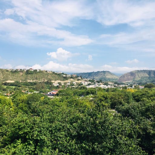 Venta terreno Guayllabamba 1.300m2 plano con aguacates