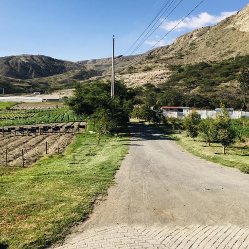 Venta terreno plano cerca a Guayllabamba. 15.000m2 a $35m2