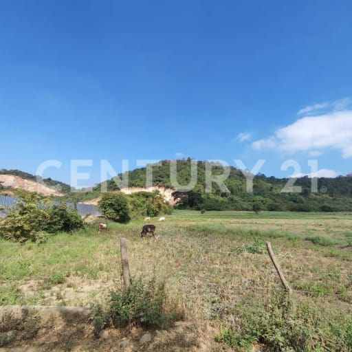 Terreno 111 ha para cantera entre Villas del Rey y Loma Alta
