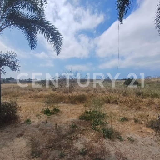 Terreno 18.1 ha con alto potencial en Vía Tejedora