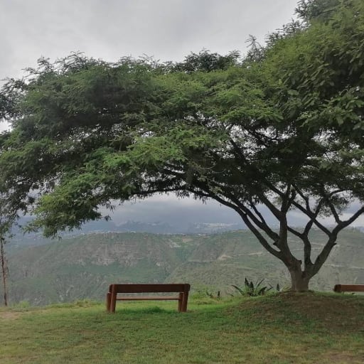 Venta Terreno, Puembo, de 1.164 m2 en Urbanización Privada, Sector Arrayanes