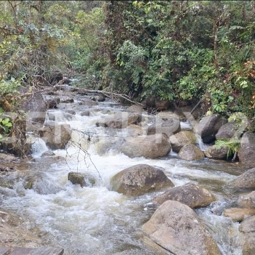 41.5 ha en Carchi - Ideal para eco-turismo y agroproyectos