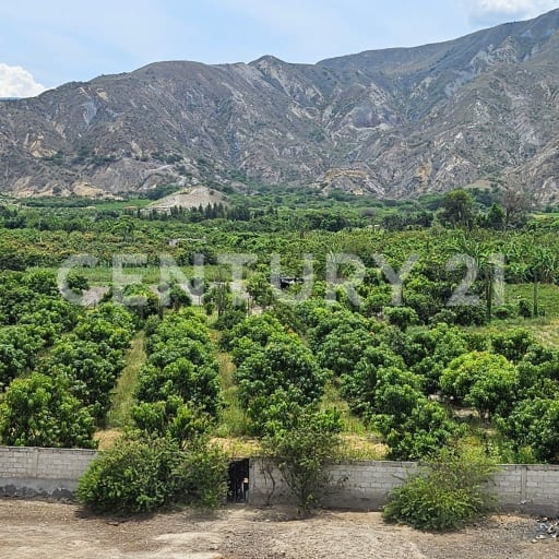 Terreno Lote ideal para inversion en venta en Norte de Ibarra