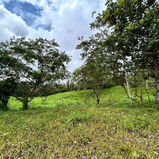 Venta Terreno, Oportunidad Única: 16.262 m² con 70% Frente a Vía – Pedro Vicente Maldonado