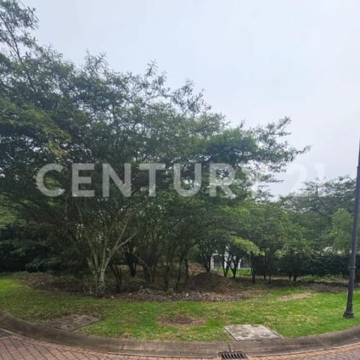 Terreno esquinero 1100m² en La Viña, ideal para construcción