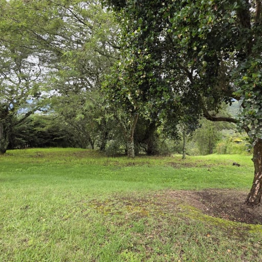 Terreno en venta en Urbanización Los Arrayanes – Exclusividad, privacidad y alta valorización