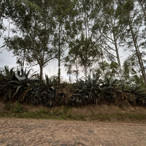 Terreno rural ecológico en Tumbaco con vista al Ilaló - Ideal conservación