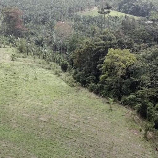 Terreno en venta - Sector reserva Cotacachi - Región de INTAG AV