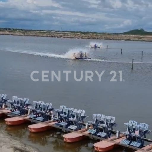 Camaronera operativa en Playas, 11 has con concesión desde 2016