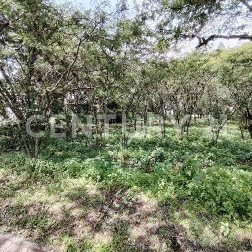 Terreno 1571m² en La Viña con planos para casa de 2 pisos