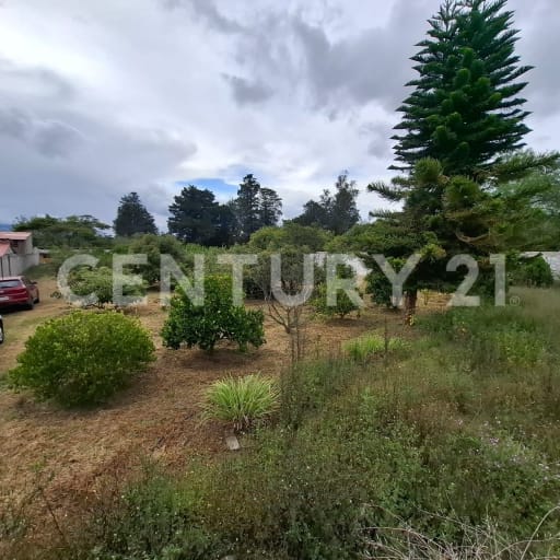Terreno de 2550 m² en Guayllabamba - Naturaleza y exclusividad