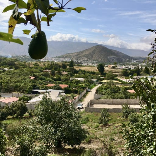 Land for sale in Guayllabamba, with a slope suitable for a house with views of the valley and mountains
