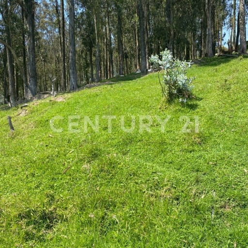 Terreno residencial en Conocoto con factibilidad de servicios