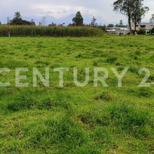 2 lotes de 3096 m² en Ascázubi, ideal para proyectos residenciales