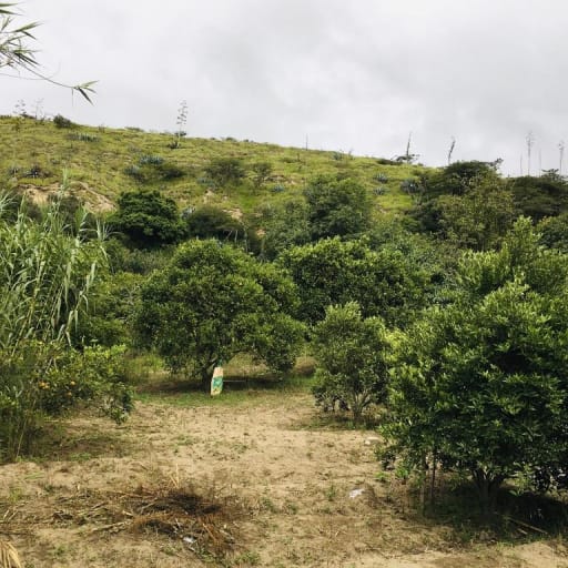 Terreno en Guayllabamba