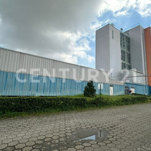 Terreno 12K m² + infraestructura y molino suizo de $3.5M ¡Venta!