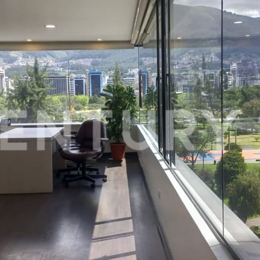 Oficina ejecutiva en La Carolina con vista al parque