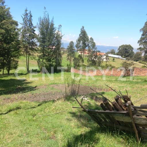 Terreno 3317m² en Alangasi - BBQ y parqueadero