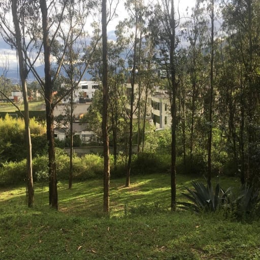 Venta terreno Cumbayá, 3.485m2 Colegio Terranova