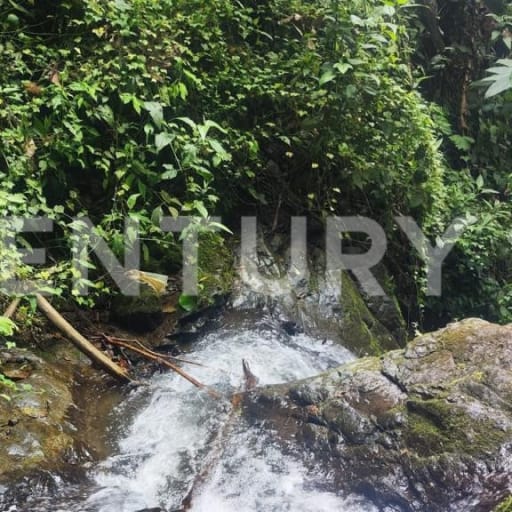 Bosque de 18 ha con cascadas y restaurante cerca de Quito