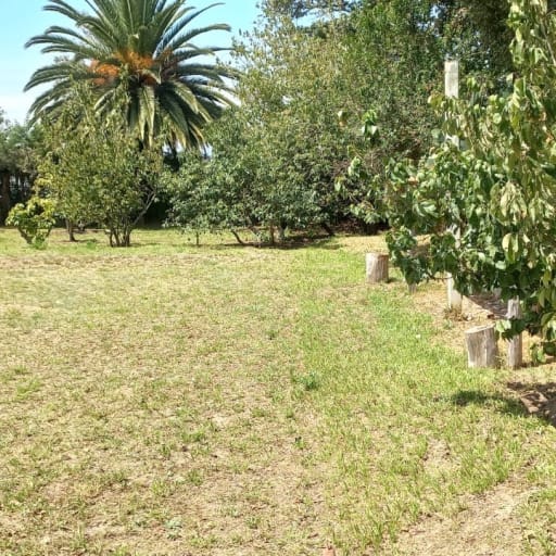 Land and house for sale between Guayllabamba and El Quinche, stress-free