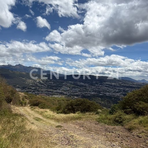 Terreno de 10.000m² en faldas del Ilaló con privacidad