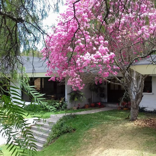 Casa 4 dormitorios Venta Pusuquí