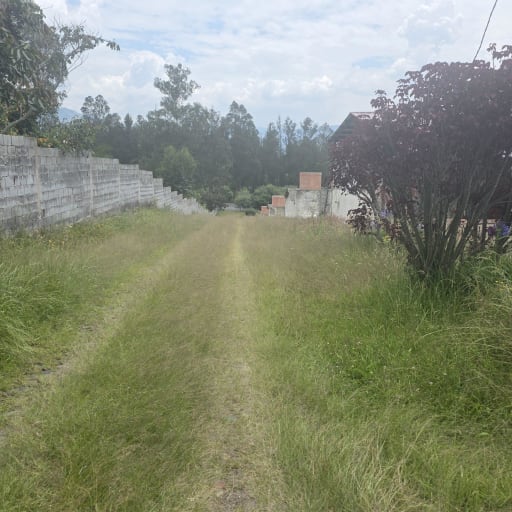 En Renta Terrenos en Puembo