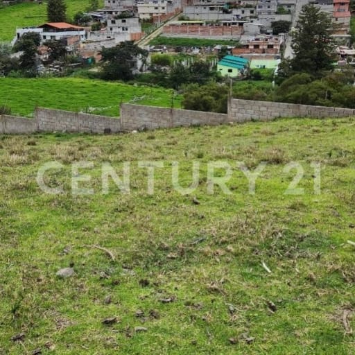 Venta de 2 terrenos en Pifo con servicios básicos