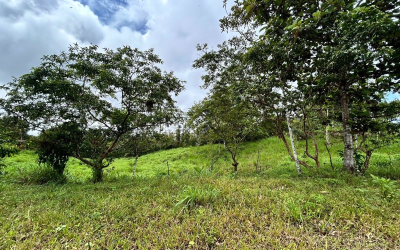 Venta Terreno, Oportunidad Única: 16.262 m² con 70% Frente a Vía – Pedro Vicente Maldonado