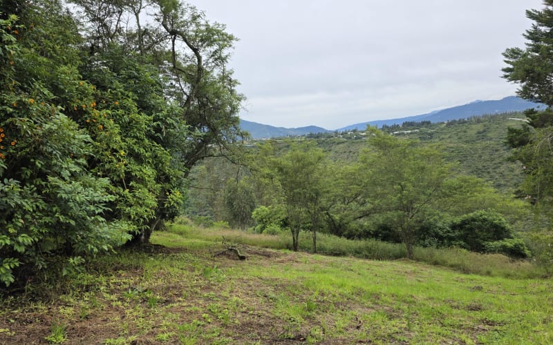 Terreno en venta en Urbanización Los Arrayanes – Exclusividad, privacidad y alta valorización