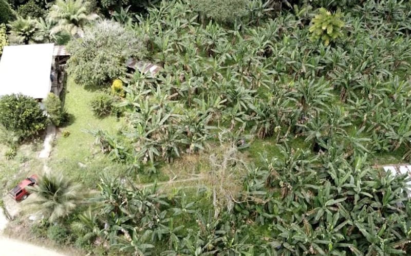 Terreno en venta - Sector reserva Cotacachi - Región de INTAG AV