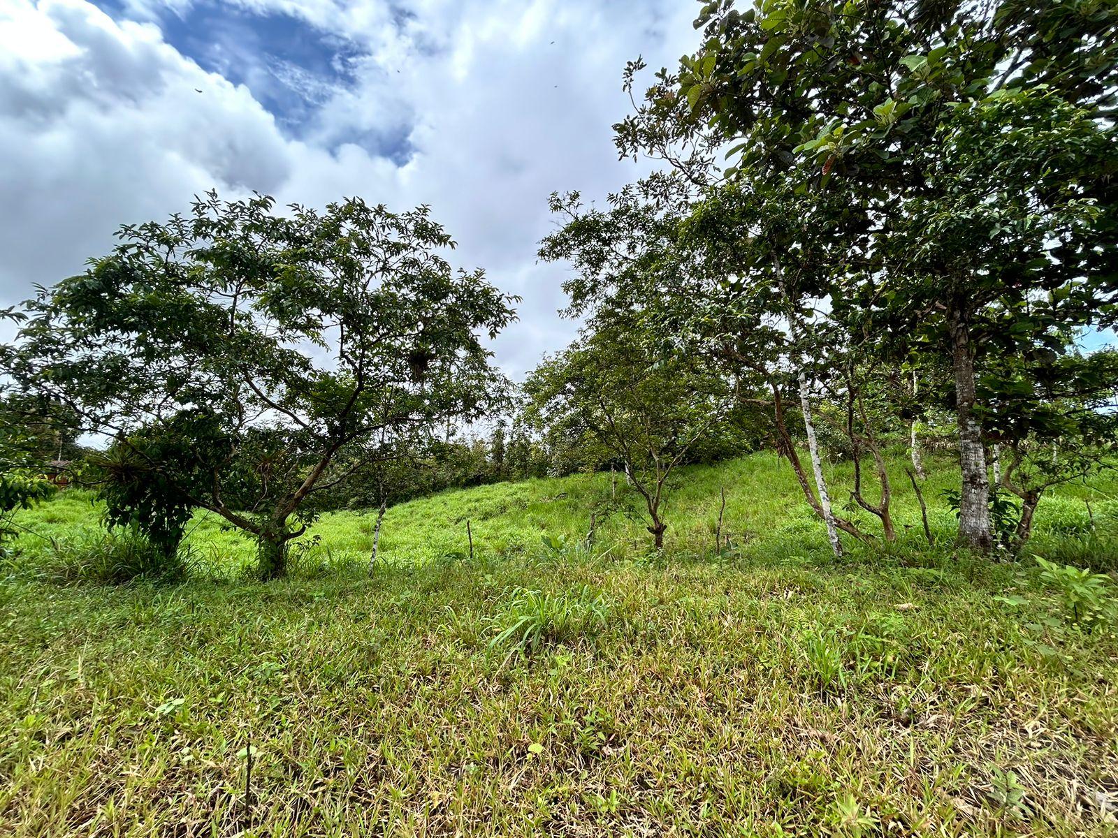 Lot for sale in Pedro Vicente Maldonado, Pichincha