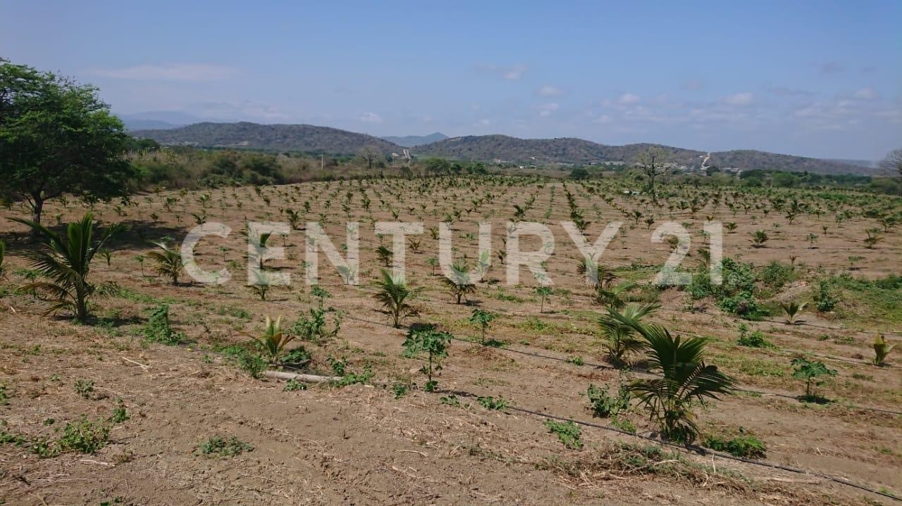 Terreno en venta en Montecristi, Manabí